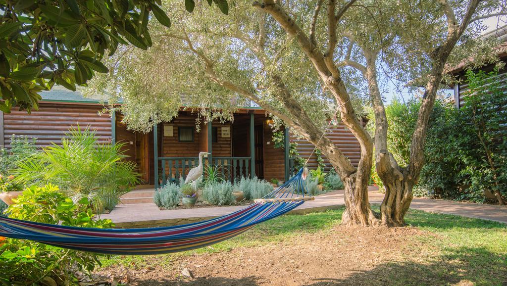 Lavender In The Mountains Villa Ramot Naftali Exterior photo